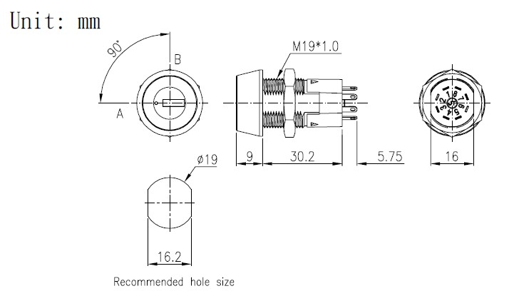 S2931t.jpg